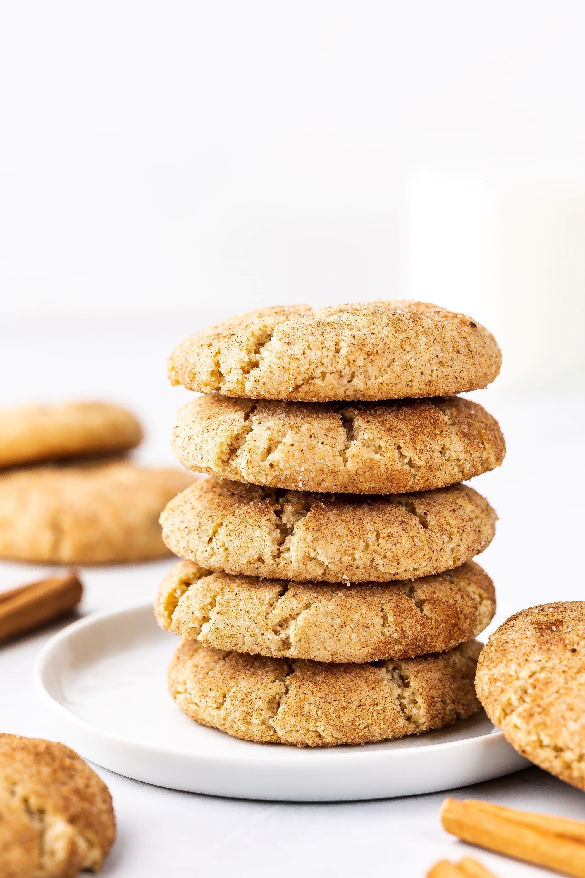 Keto Snickerdoodle